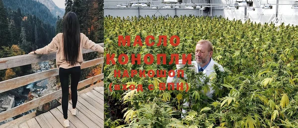 сатива Белоозёрский